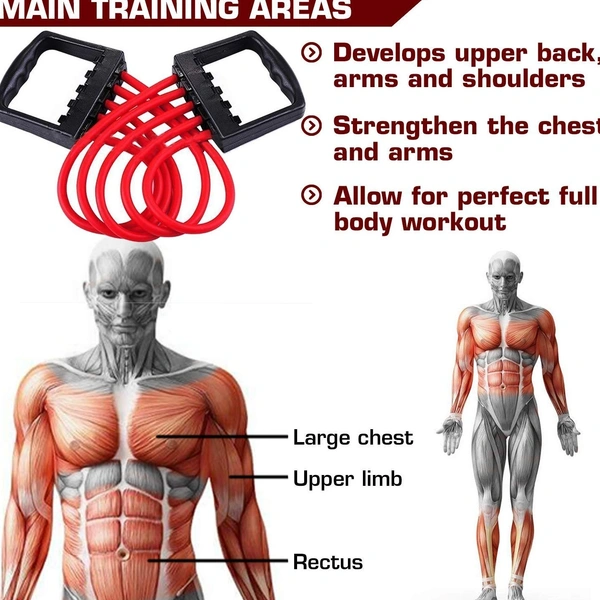 Adjustable Multi-Function 5 Rubber Tubes Chest Expander/Chest Developer/Rubber Rope/Chest Flexor/Muscle Pulling Exerciser/Muscle Workout Stretcher Home & Gym Equipment for Men & Women (Random Color)