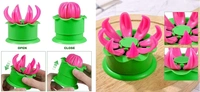 Momos Maker, Momo Maker Mould Shapes Plastic, Dumpling Maker (Momos Maker)
