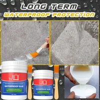 Transparent Crack Seal Agent 300g (C-A220811K52)