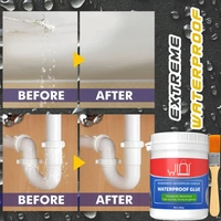 Transparent Crack Seal Agent 300g (C-A220811K52)