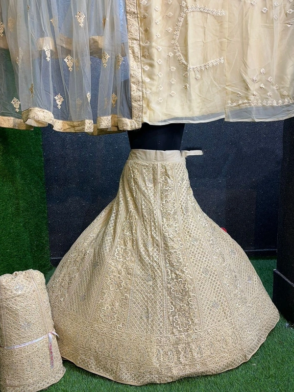 SA254 Lehenga Choli - Beige, free