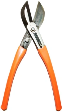 Pilerman Katiya-Irani-8-inch - 8-inch, Web Orange