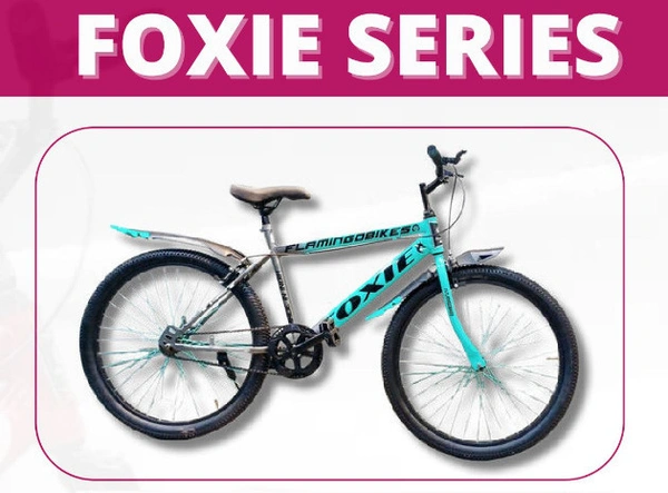 FB 201 24 TT 2.4 - 24 IncH, CDSXSOEF