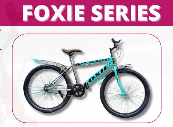 FB 201 26 TT 2.4 - 26 IncH, CDSJZSEF