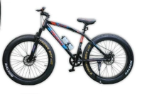AI  Tesler 26 TT 4.0 - 26 IncH, 4.0 IncH
