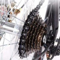 Chain Gear Cycle - 