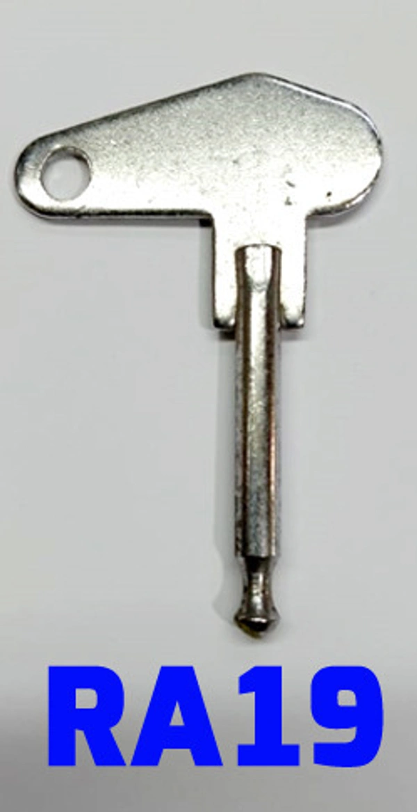 RA19