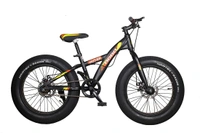 AI Husar 20 TT 4.0