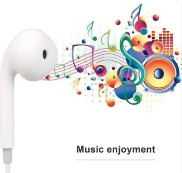 Wired in Ear Earphones with Mic 