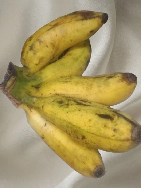 Accessories Roy  A single Sabri banana costs ₹15