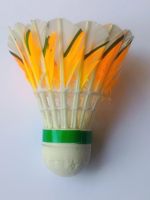 Accessories Roy Pack of (1 Piece Shuttlecock) Professional Feather Shuttle for Both Beginners & Professionals (1 Piece Shuttlecock)