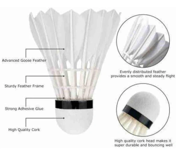 Accessories Roy Pack of (1 Piece Shuttlecock) Professional Feather Shuttle for Both Beginners & Professionals (1 Piece Shuttlecock)