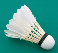 Accessories Roy Pack of (1 Piece Shuttlecock) Professional Feather Shuttle for Both Beginners & Professionals (1 Piece Shuttlecock)