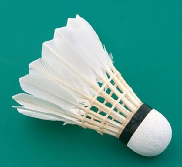 Accessories Roy Pack of (1 Piece Shuttlecock) Professional Feather Shuttle for Both Beginners & Professionals (1 Piece Shuttlecock)