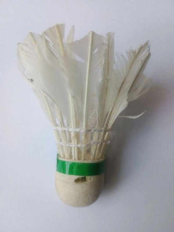 Accessories Roy  Feather Shuttlecock for Badminton