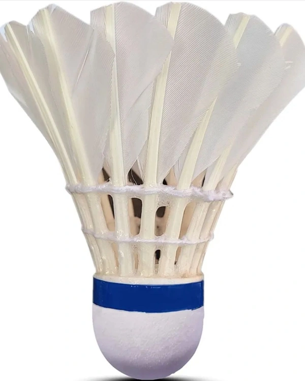 Accessories Roy Bowler Feather Shuttlecock Natural Pack 1