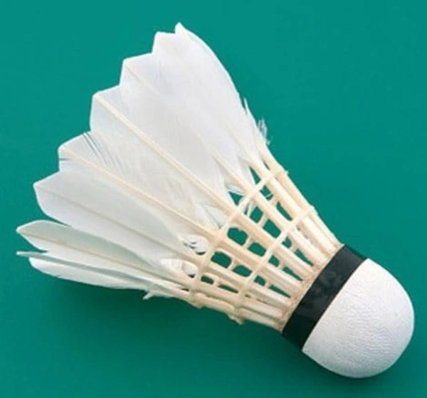 Accessories Roy Pack of (1 Piece Shuttlecock) Professional Feather Shuttle for Both Beginners & Professionals (1 Piece Shuttlecock)
