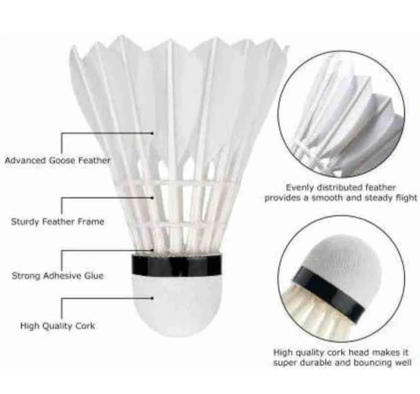 Accessories Roy Pack of (1 Piece Shuttlecock) Professional Feather Shuttle for Both Beginners & Professionals (1 Piece Shuttlecock)