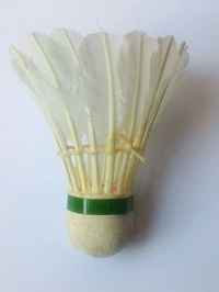 Accessories Roy Pack of (1 Piece Shuttlecock) Professional Feather Shuttle for Both Beginners & Professionals (1 Piece Shuttlecock)