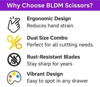 Accessories Roy all Purpose Golden Scissors, Gold Kitchen Shears or Ribbon Cutting - Household Stainless Steel Golden Scissors - Multi-Purpose Stainless Steel Sharp Blades (Mixed Combo)