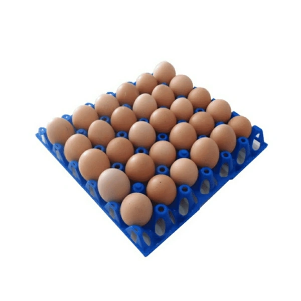 Brown Eggs - 2 Trays