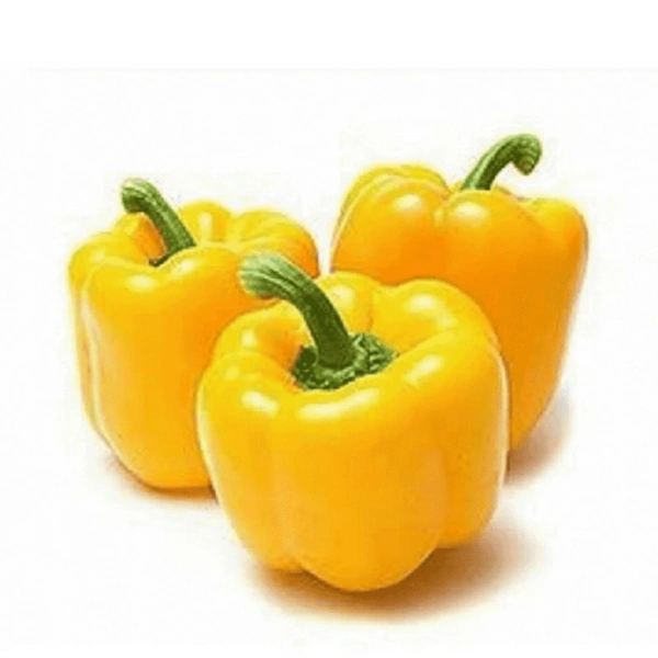 Capsicum Yellow - 1Kg