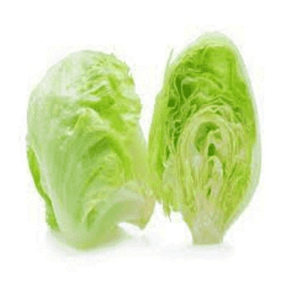 Iceberg Lettuce  - 1Kg