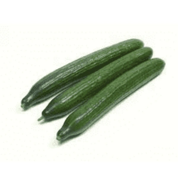 English Cucumber  - 3 Kg