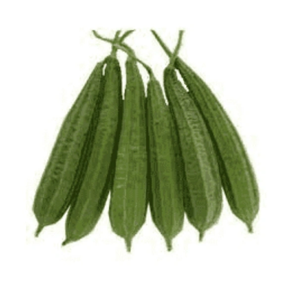 Ridge Gourd - 3 Kg