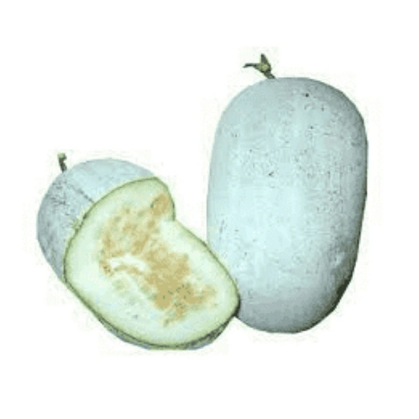 Ash Gourd  - 15 Kg