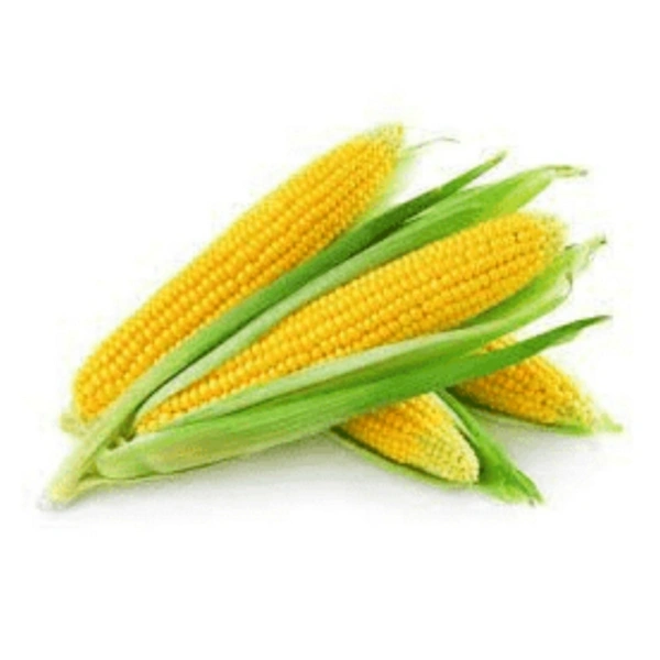 Sweet Corn - 10 Pcs