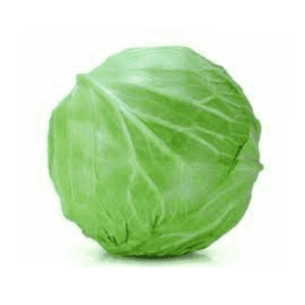 Cabbage Sandoz - 5 Kg