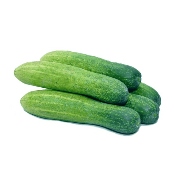 Green Cucumber - 5 Kg