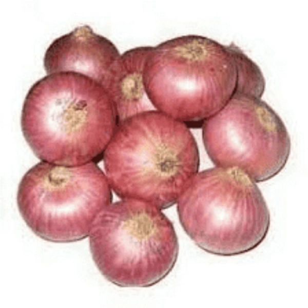 Nashik Onion Sorted - 22 Kg