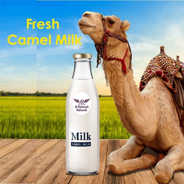 Fresh Camel Milk - Half Litre Pack