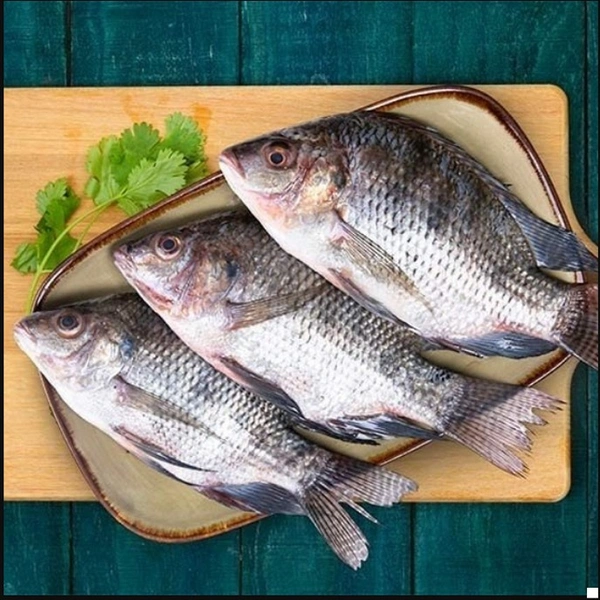 Tilapia, Fresh Water, Per Piece