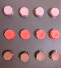 Lip Balms - 10 gm