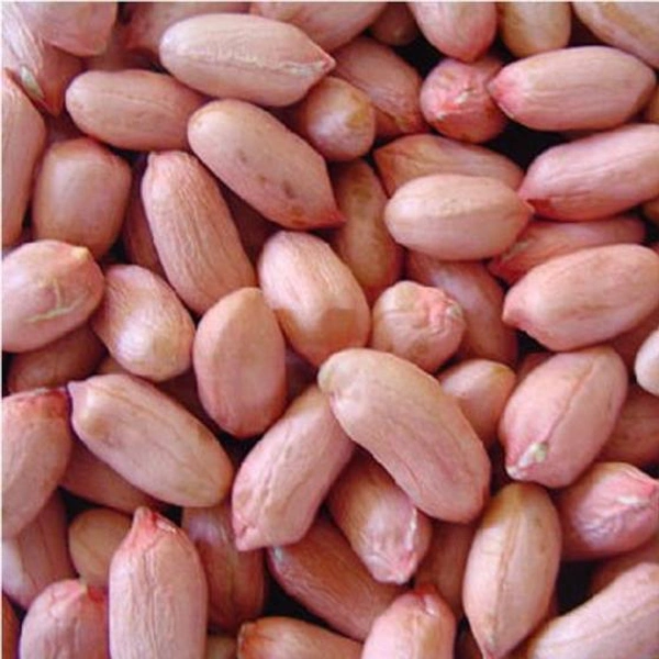 Fallidana - 1Kg