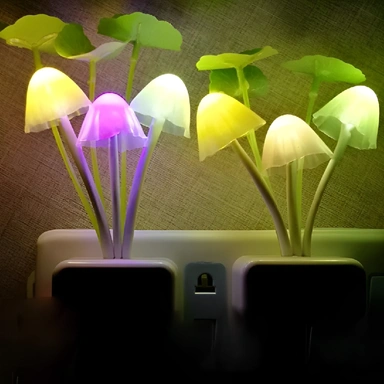 Lighting