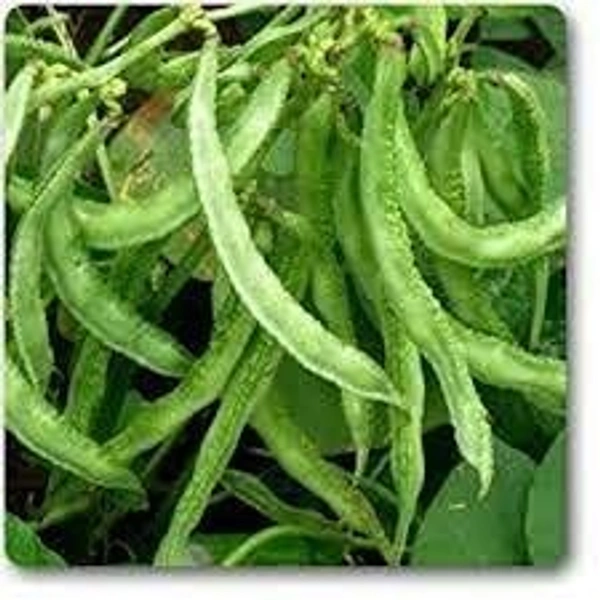 Sam Ki Phali - 250 Gm