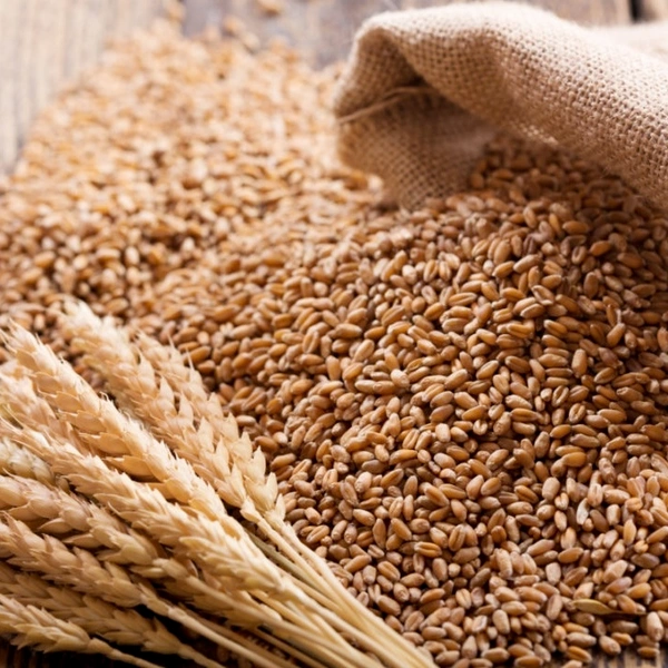 Blue Shaine Wheat 1 Kg