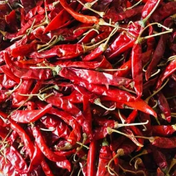 Chilli Mankat 
