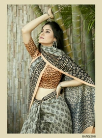 Pehnava Beautiful Chanderi Cotton Silk Saree With Blouse - Pink, 6.3 mtrs w/blouse