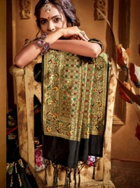 Pehnava Beautiful Black Heavy Embroidered Silk Saree With Blouse - 6.3 mtrs w/blouse