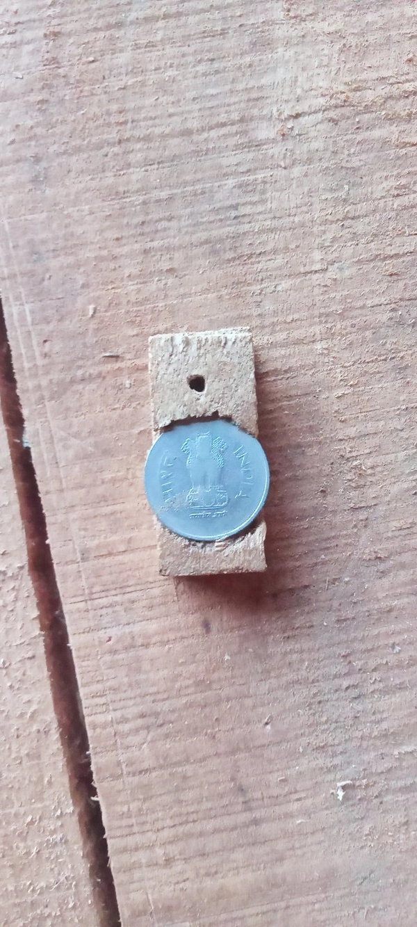 Wood Key Ring - normal wood