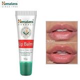  Himalaya Herbals Lip Balm - 10 g  - 