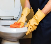 Bathroom Cleaning