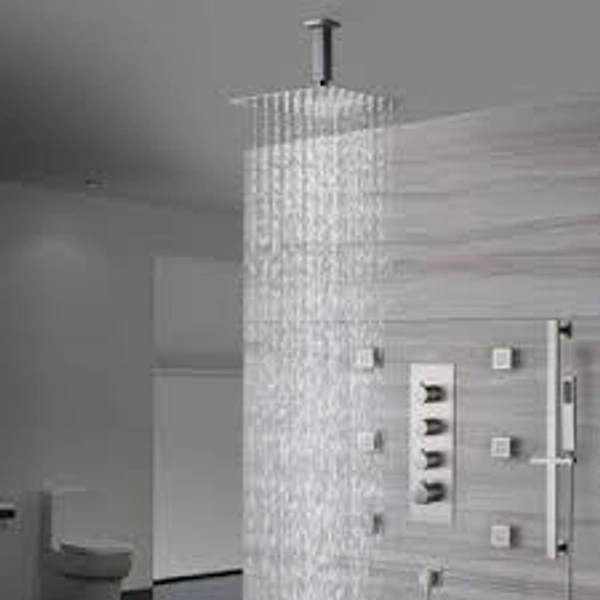 Shower Ceiling Mounted