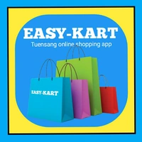 Easy Kart - Logo