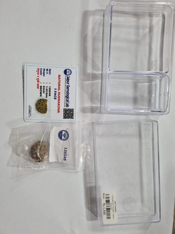 Real Rudraksh 1 mukhi
